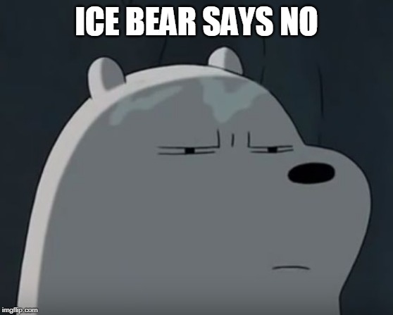 Ice Bear Does Not Approve | ICE BEAR SAYS NO | image tagged in ice bear does not approve | made w/ Imgflip meme maker