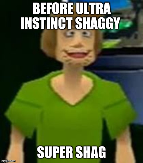 BEFORE ULTRA INSTINCT SHAGGY; SUPER SHAG | image tagged in super shag | made w/ Imgflip meme maker
