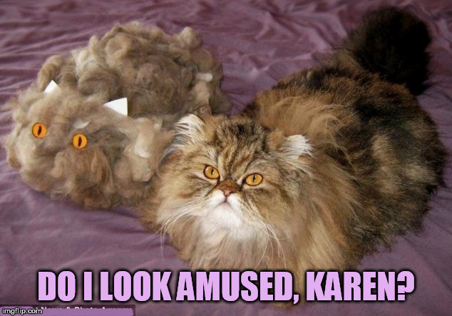 DO I LOOK AMUSED, KAREN? | made w/ Imgflip meme maker