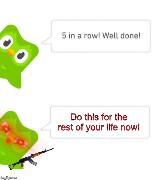 Duolingo 5 in a row | Do this for the rest of your life now! | image tagged in duolingo 5 in a row | made w/ Imgflip meme maker