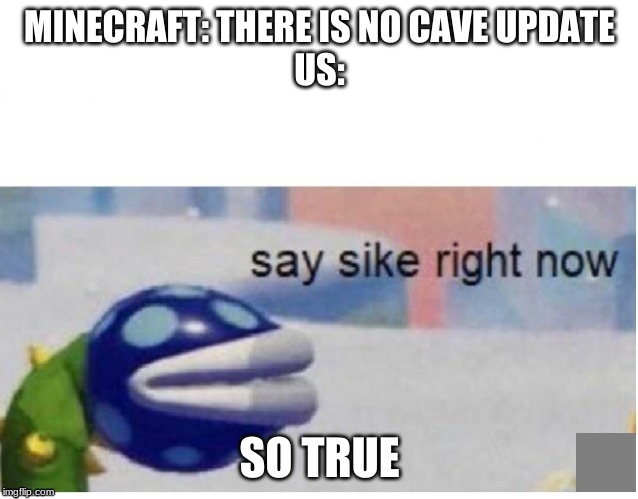 say sike right now | MINECRAFT: THERE IS NO CAVE UPDATE
US:; SO TRUE | image tagged in say sike right now | made w/ Imgflip meme maker