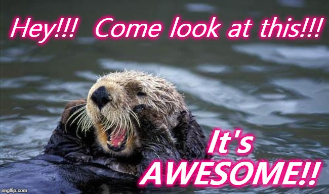 Shouting otter | Hey!!!  Come look at this!!! It's AWESOME!! | image tagged in shouting otter | made w/ Imgflip meme maker