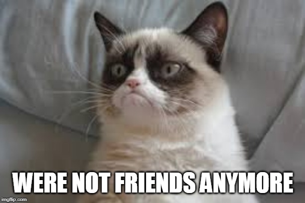Grumpy cat | WERE NOT FRIENDS ANYMORE | image tagged in grumpy cat | made w/ Imgflip meme maker