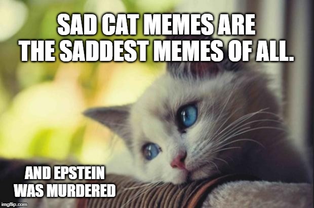 True is True | SAD CAT MEMES ARE THE SADDEST MEMES OF ALL. AND EPSTEIN WAS MURDERED | image tagged in sad cat,jeffrey epstein | made w/ Imgflip meme maker