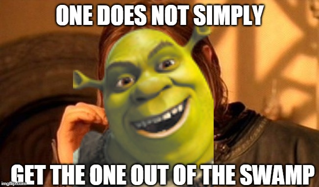 One Does Not Simply Meme | ONE DOES NOT SIMPLY; GET THE ONE OUT OF THE SWAMP | image tagged in memes,one does not simply | made w/ Imgflip meme maker