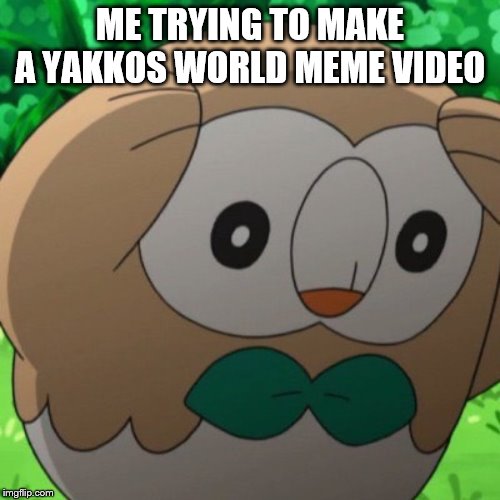 Rowlet Meme Template | ME TRYING TO MAKE A YAKKOS WORLD MEME VIDEO | image tagged in rowlet meme template | made w/ Imgflip meme maker
