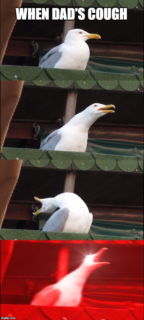 Inhaling Seagull | WHEN DAD'S COUGH | image tagged in memes,inhaling seagull | made w/ Imgflip meme maker