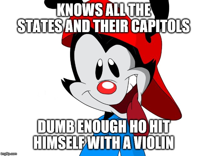 Wakko Warner | KNOWS ALL THE STATES AND THEIR CAPITOLS; DUMB ENOUGH HO HIT HIMSELF WITH A VIOLIN | image tagged in wakko warner | made w/ Imgflip meme maker