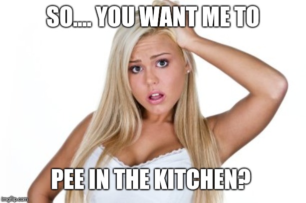 Dumb Blonde | SO.... YOU WANT ME TO PEE IN THE KITCHEN? | image tagged in dumb blonde | made w/ Imgflip meme maker
