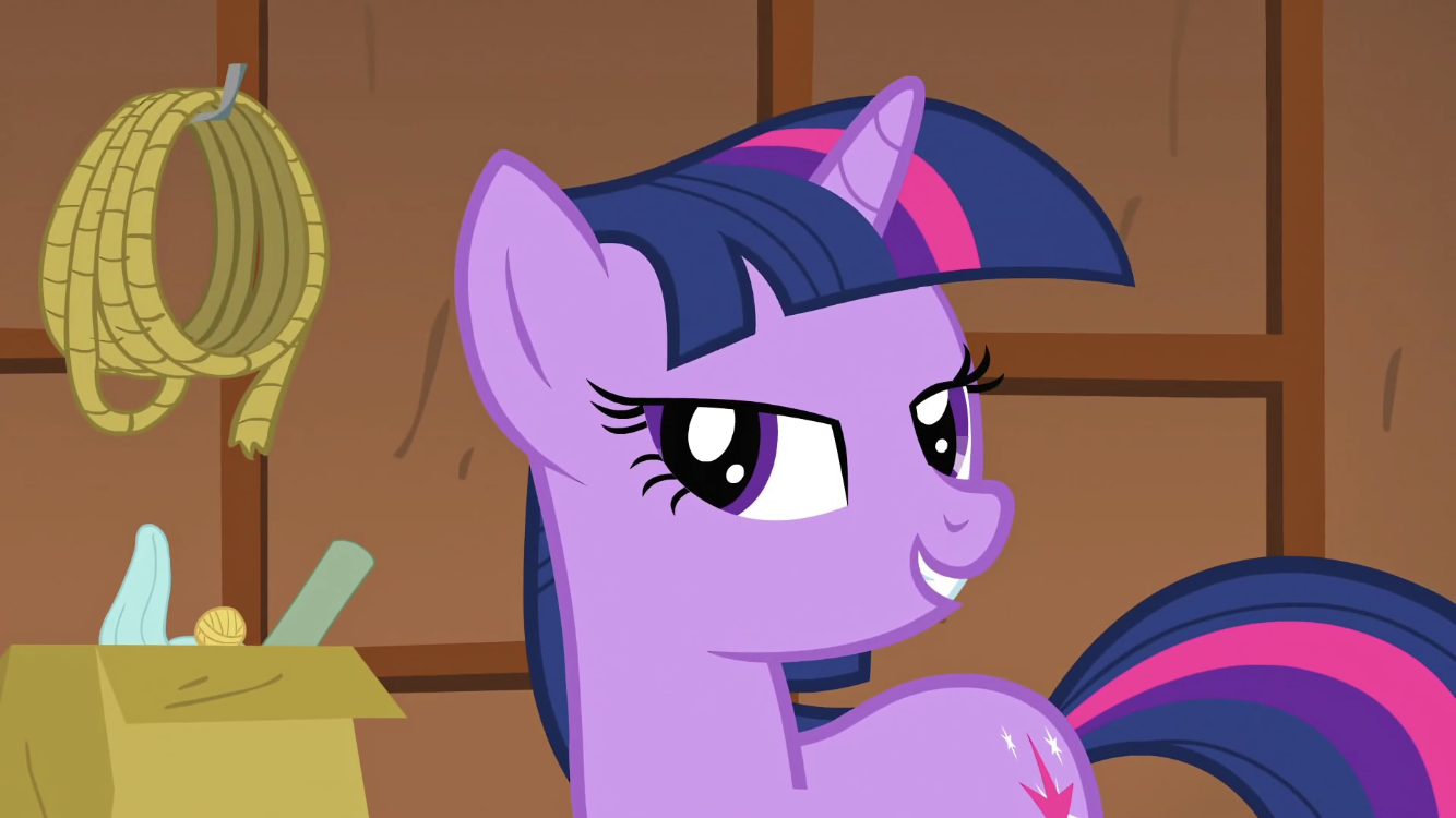 Twilight Sparkle “One Day.” Blank Meme Template