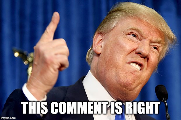 Donald Trump | THIS COMMENT IS RIGHT | image tagged in donald trump | made w/ Imgflip meme maker