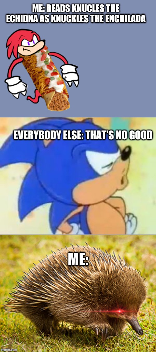 Knuckles i'm hungry | ME: READS KNUCLES THE ECHIDNA AS KNUCKLES THE ENCHILADA; EVERYBODY ELSE: THAT'S NO GOOD; ME: | image tagged in sonic,knuckles | made w/ Imgflip meme maker