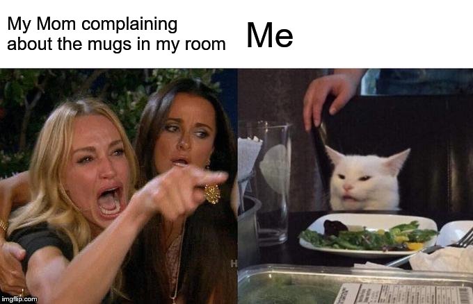 Woman Yelling At Cat | My Mom complaining about the mugs in my room; Me | image tagged in memes,woman yelling at a cat | made w/ Imgflip meme maker