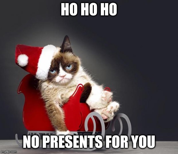 Grumpy Cat Christmas HD | HO HO HO; NO PRESENTS FOR YOU | image tagged in grumpy cat christmas hd | made w/ Imgflip meme maker