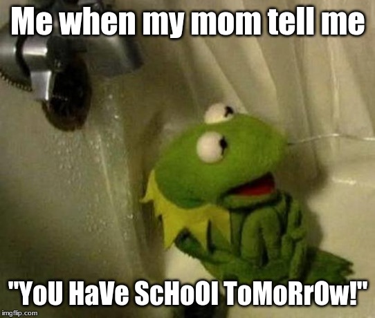 Kermit on Shower | Me when my mom tell me; "YoU HaVe ScHoOl ToMoRrOw!" | image tagged in kermit on shower | made w/ Imgflip meme maker