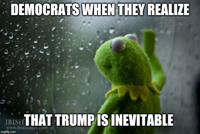 kermit window | DEMOCRATS WHEN THEY REALIZE THAT TRUMP IS INEVITABLE | image tagged in kermit window | made w/ Imgflip meme maker