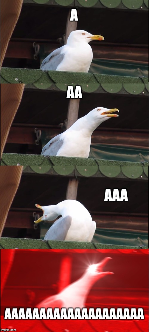 Inhaling Seagull Meme | A; AA; AAA; AAAAAAAAAAAAAAAAAAAA | image tagged in memes,inhaling seagull | made w/ Imgflip meme maker
