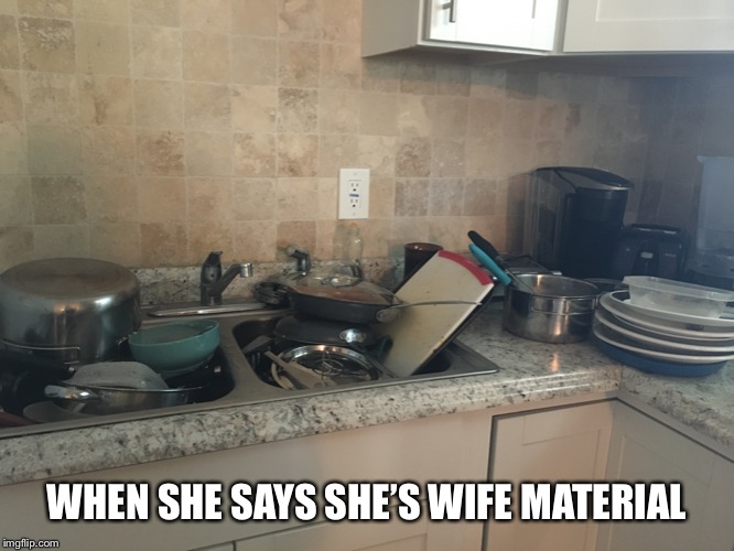 WHEN SHE SAYS SHE’S WIFE MATERIAL | image tagged in wife material | made w/ Imgflip meme maker