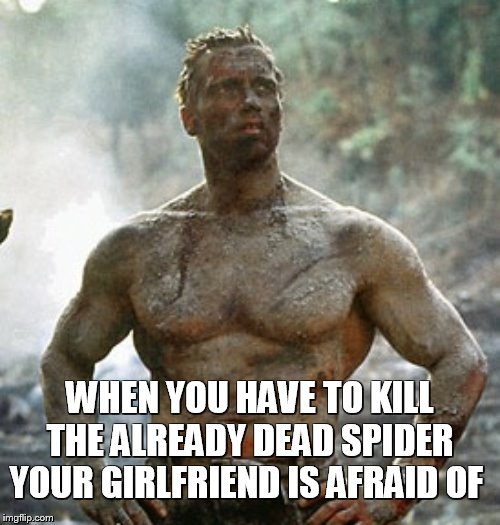 Predator Meme | WHEN YOU HAVE TO KILL THE ALREADY DEAD SPIDER YOUR GIRLFRIEND IS AFRAID OF | image tagged in memes,predator | made w/ Imgflip meme maker