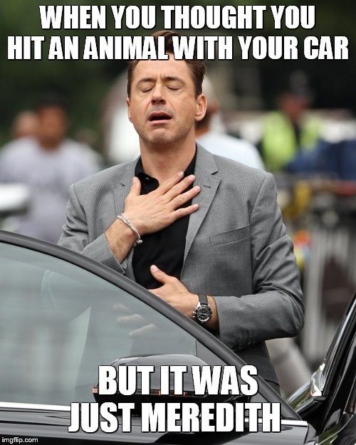 Relief | WHEN YOU THOUGHT YOU HIT AN ANIMAL WITH YOUR CAR; BUT IT WAS JUST MEREDITH | image tagged in relief | made w/ Imgflip meme maker