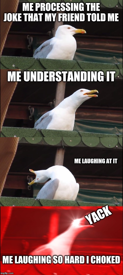 Inhaling Seagull | ME PROCESSING THE JOKE THAT MY FRIEND TOLD ME; ME UNDERSTANDING IT; ME LAUGHING AT IT; YACK; ME LAUGHING SO HARD I CHOKED | image tagged in memes,inhaling seagull | made w/ Imgflip meme maker