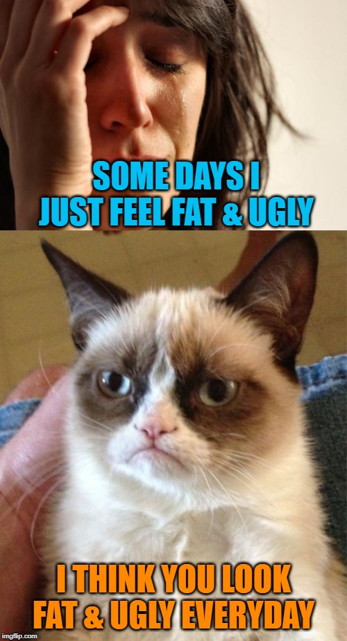 Bad Day | SOME DAYS I JUST FEEL FAT & UGLY; I THINK YOU LOOK FAT & UGLY EVERYDAY | image tagged in memes,first world problems,grumpy cat,grumpy cat insults | made w/ Imgflip meme maker