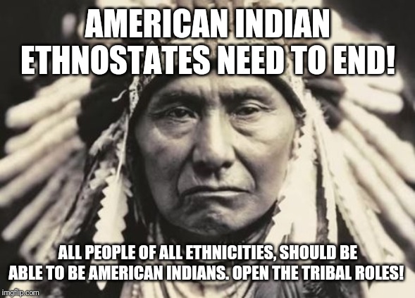 American Indian | AMERICAN INDIAN ETHNOSTATES NEED TO END! ALL PEOPLE OF ALL ETHNICITIES, SHOULD BE ABLE TO BE AMERICAN INDIANS. OPEN THE TRIBAL ROLES! | image tagged in american indian | made w/ Imgflip meme maker