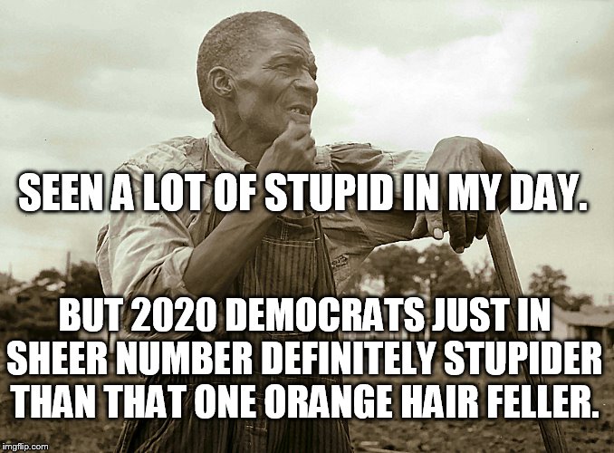Pensive Colored Sharecropper | SEEN A LOT OF STUPID IN MY DAY. BUT 2020 DEMOCRATS JUST IN SHEER NUMBER DEFINITELY STUPIDER THAN THAT ONE ORANGE HAIR FELLER. | image tagged in pensive colored sharecropper | made w/ Imgflip meme maker