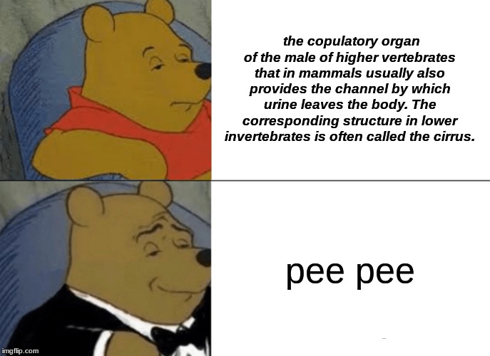 Tuxedo Winnie The Pooh Meme | the copulatory organ of the male of higher vertebrates that in mammals usually also provides the channel by which urine leaves the body. The corresponding structure in lower invertebrates is often called the cirrus. pee pee | image tagged in memes,tuxedo winnie the pooh | made w/ Imgflip meme maker