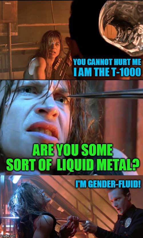 When Hollywood becomes Woke to the classics. | YOU CANNOT HURT ME; I AM THE T-1000; ARE YOU SOME SORT OF  LIQUID METAL? I'M GENDER-FLUID! | image tagged in terminator 2,hollywood,woke,gender fluid,memes,t1000 | made w/ Imgflip meme maker