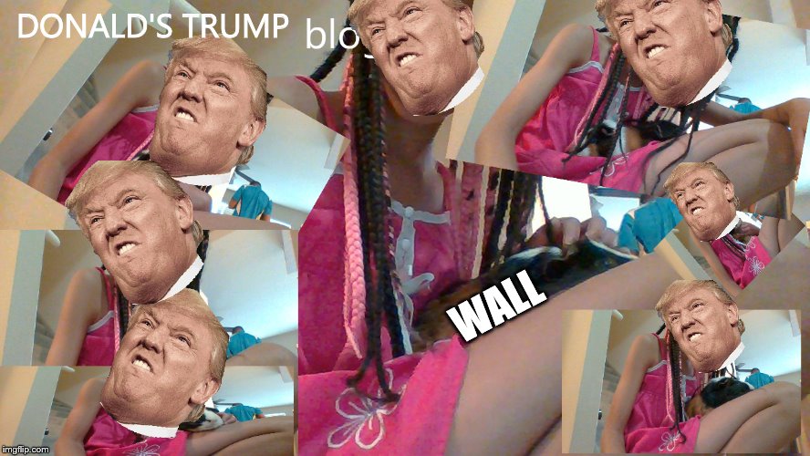 snuggling blog | DONALD'S TRUMP; WALL | image tagged in snuggling blog | made w/ Imgflip meme maker