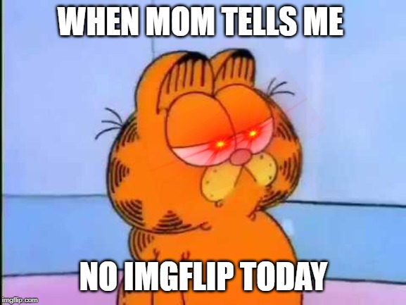 IMGFLIP ban | WHEN MOM TELLS ME; NO IMGFLIP TODAY | image tagged in funny,imgflip,no,fun,lol,haha | made w/ Imgflip meme maker