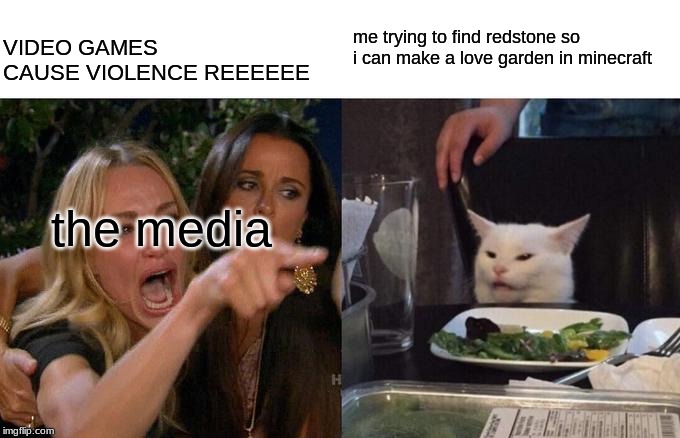 bruh i hate cnn | me trying to find redstone so i can make a love garden in minecraft; VIDEO GAMES CAUSE VIOLENCE REEEEEE; the media | image tagged in memes,woman yelling at a cat | made w/ Imgflip meme maker
