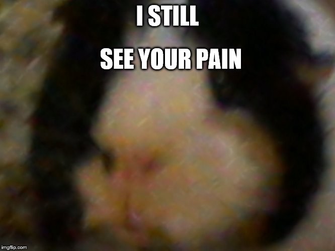 max the piggie | I STILL SEE YOUR PAIN | image tagged in max the piggie | made w/ Imgflip meme maker