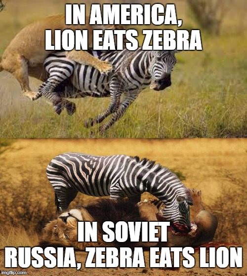 In Soviet Russia, Zebra eats Lion | IN AMERICA, LION EATS ZEBRA; IN SOVIET RUSSIA, ZEBRA EATS LION | image tagged in in soviet russia | made w/ Imgflip meme maker