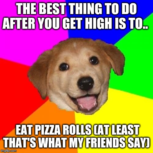 Advice Dog Meme | THE BEST THING TO DO AFTER YOU GET HIGH IS TO.. EAT PIZZA ROLLS (AT LEAST THAT'S WHAT MY FRIENDS SAY) | image tagged in memes,advice dog | made w/ Imgflip meme maker