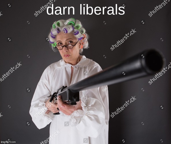 I love stock images | darn liberals | image tagged in stock photos | made w/ Imgflip meme maker