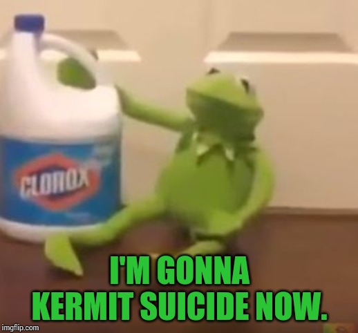 Kermit Suicide | I'M GONNA KERMIT SUICIDE NOW. | image tagged in kermit suicide | made w/ Imgflip meme maker