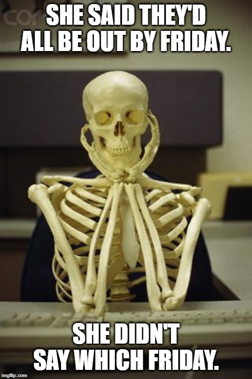 Waiting Skeleton | SHE SAID THEY'D ALL BE OUT BY FRIDAY. SHE DIDN'T SAY WHICH FRIDAY. | image tagged in waiting skeleton | made w/ Imgflip meme maker