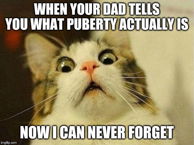 Scared Cat Meme | WHEN YOUR DAD TELLS YOU WHAT PUBERTY ACTUALLY IS; NOW I CAN NEVER FORGET | image tagged in memes,scared cat | made w/ Imgflip meme maker