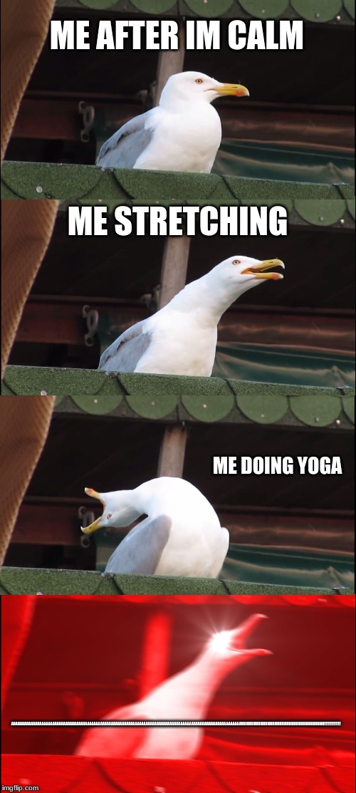 inhaling and screaming seagull | ME AFTER IM CALM; ME STRETCHING; ME DOING YOGA; AAAAAAAAAAAAAAAAAAAAAAAAAAAAAAAAAAAAAAAAAAAAAAAAAAAAAAAAAAAAAAAAAAAAAAAAAAAAAAAAAAAAAAAAAAAAAAAAAAAAAAAAAHHHHHHHHHHHHHHHHHHHHHHHHHHHHHHHHHHHH!!!!!!!!!!!!!! | image tagged in memes,inhaling seagull,scream | made w/ Imgflip meme maker