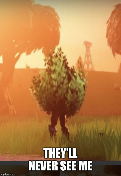 Fortnite bush | THEY’LL NEVER SEE ME | image tagged in fortnite bush | made w/ Imgflip meme maker