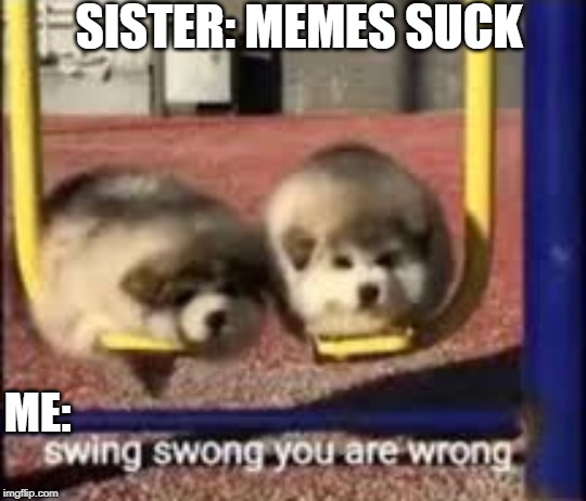 swing swong | SISTER: MEMES SUCK; ME: | image tagged in swing swong | made w/ Imgflip meme maker