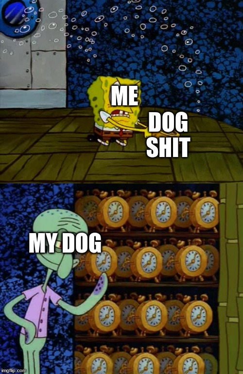 Spongebob vs Squidward Alarm Clocks | ME; DOG SHIT; MY DOG | image tagged in spongebob vs squidward alarm clocks | made w/ Imgflip meme maker