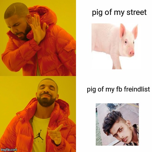 Drake Hotline Bling | pig of my street; pig of my fb freindlist | image tagged in memes,drake hotline bling | made w/ Imgflip meme maker