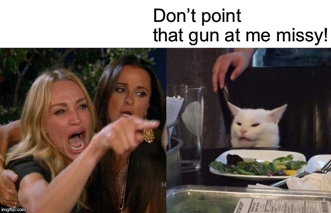 Woman Yelling At Cat Meme | Don’t point that gun at me missy! | image tagged in memes,woman yelling at a cat | made w/ Imgflip meme maker