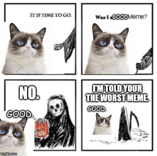 Was I  a good meme | GOOD; NO. I'M TOLD YOUR THE WORST MEME. GOOD. GOOD. | image tagged in death,memes | made w/ Imgflip meme maker