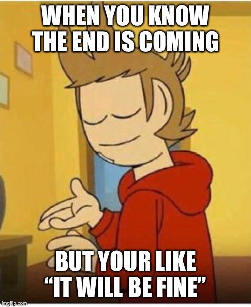 Tord face of mercy | WHEN YOU KNOW THE END IS COMING; BUT YOUR LIKE “IT WILL BE FINE” | image tagged in tord face of mercy | made w/ Imgflip meme maker