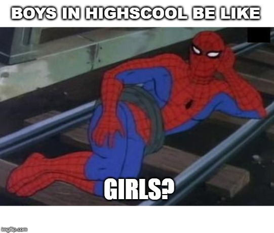 Sexy Railroad Spiderman | BOYS IN HIGHSCOOL BE LIKE; GIRLS? | image tagged in memes,sexy railroad spiderman,spiderman | made w/ Imgflip meme maker