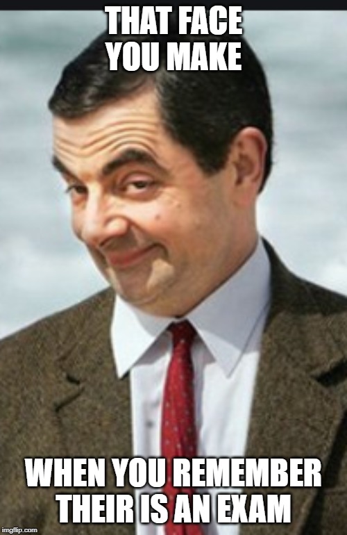 Mr bean is so stupid | THAT FACE YOU MAKE; WHEN YOU REMEMBER THEIR IS AN EXAM | image tagged in funny because it's true,mr bean,silly | made w/ Imgflip meme maker